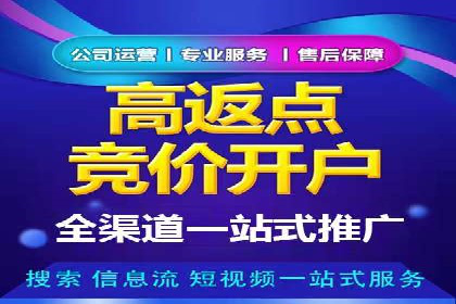 高效SEM托管公司案例对比分析