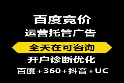 竞价推广实战：案例分析行业领军企业的成功之道